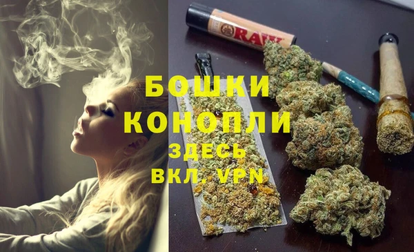 дмт Аркадак