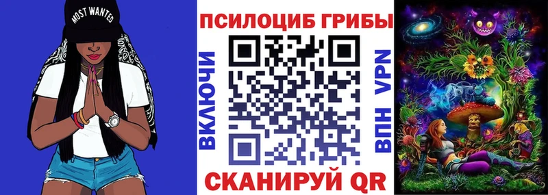 даркнет сайт  Баймак  Галлюциногенные грибы мицелий 